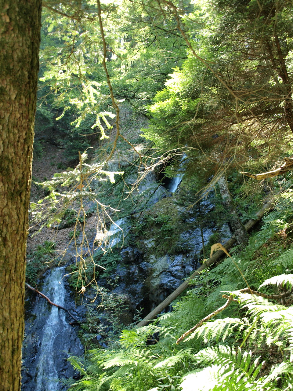 Cascades du Seebach
