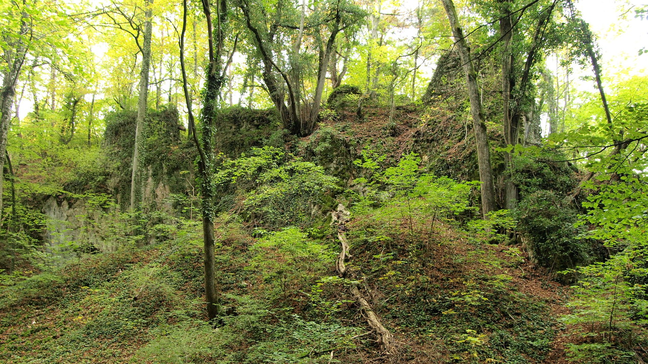 ruines de Waldeck