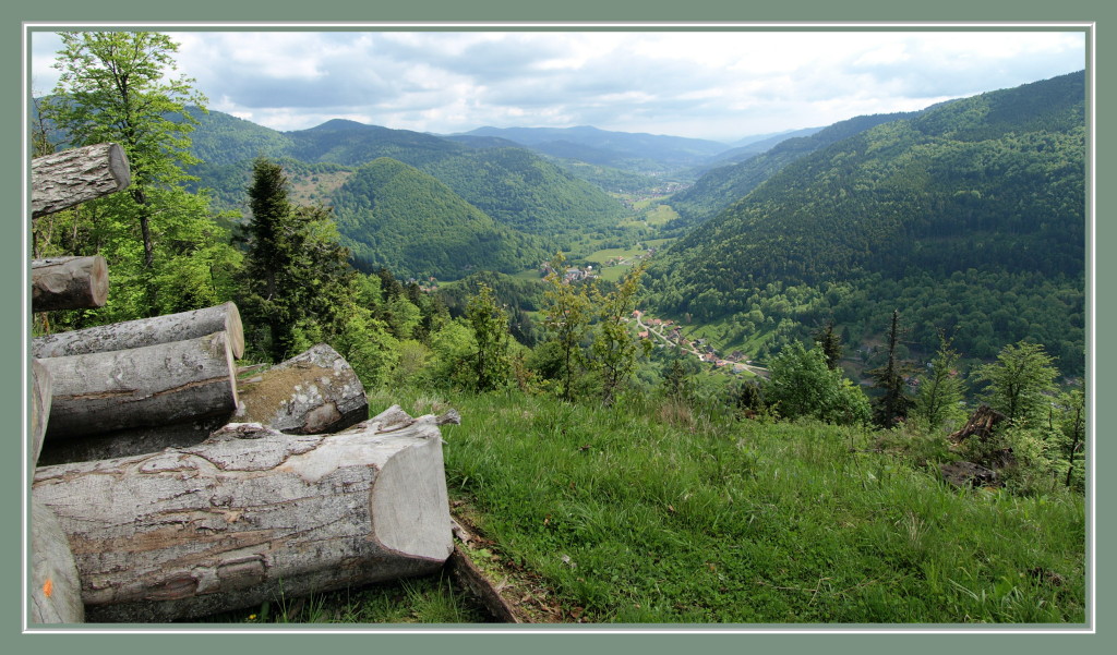 Vue sur la vallée de Munster