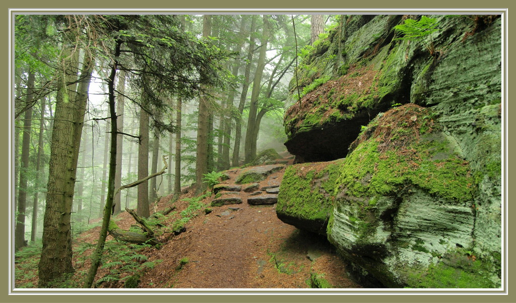 Le long du Mur Païen