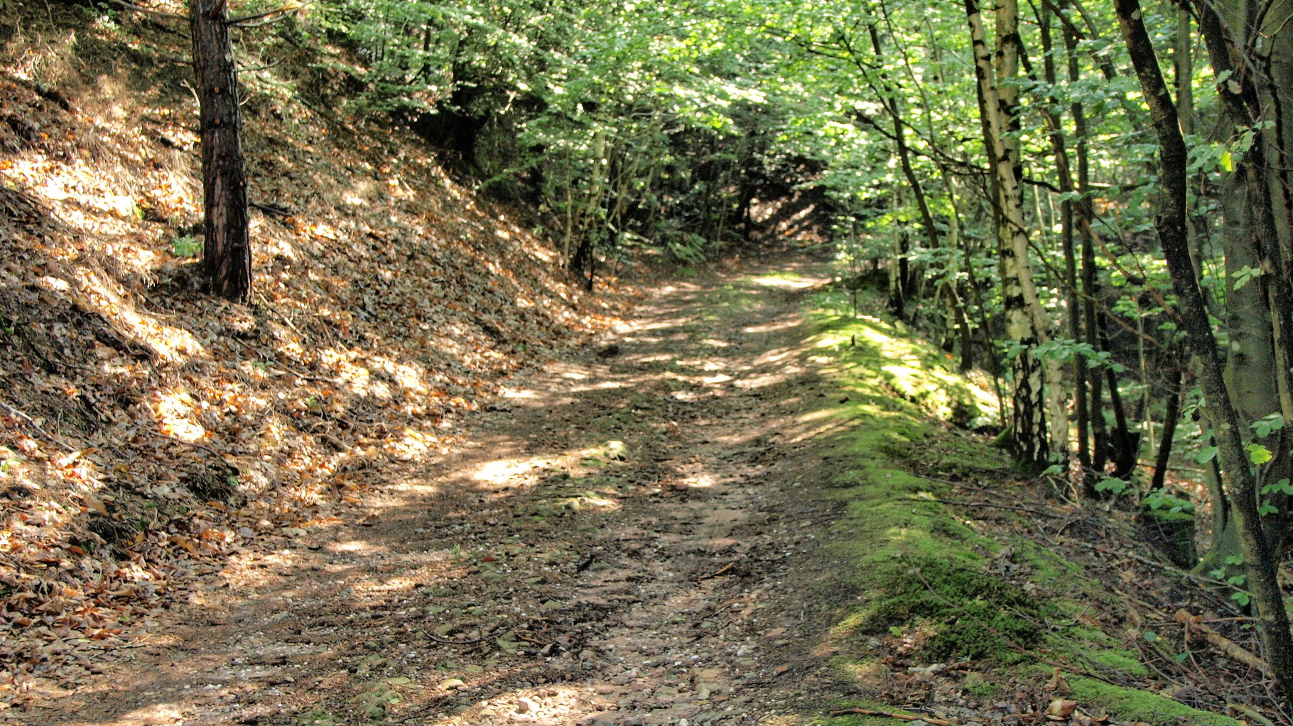 Montée au Château