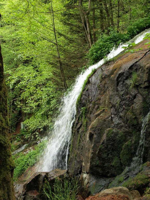 Cascade de l'Andlau
