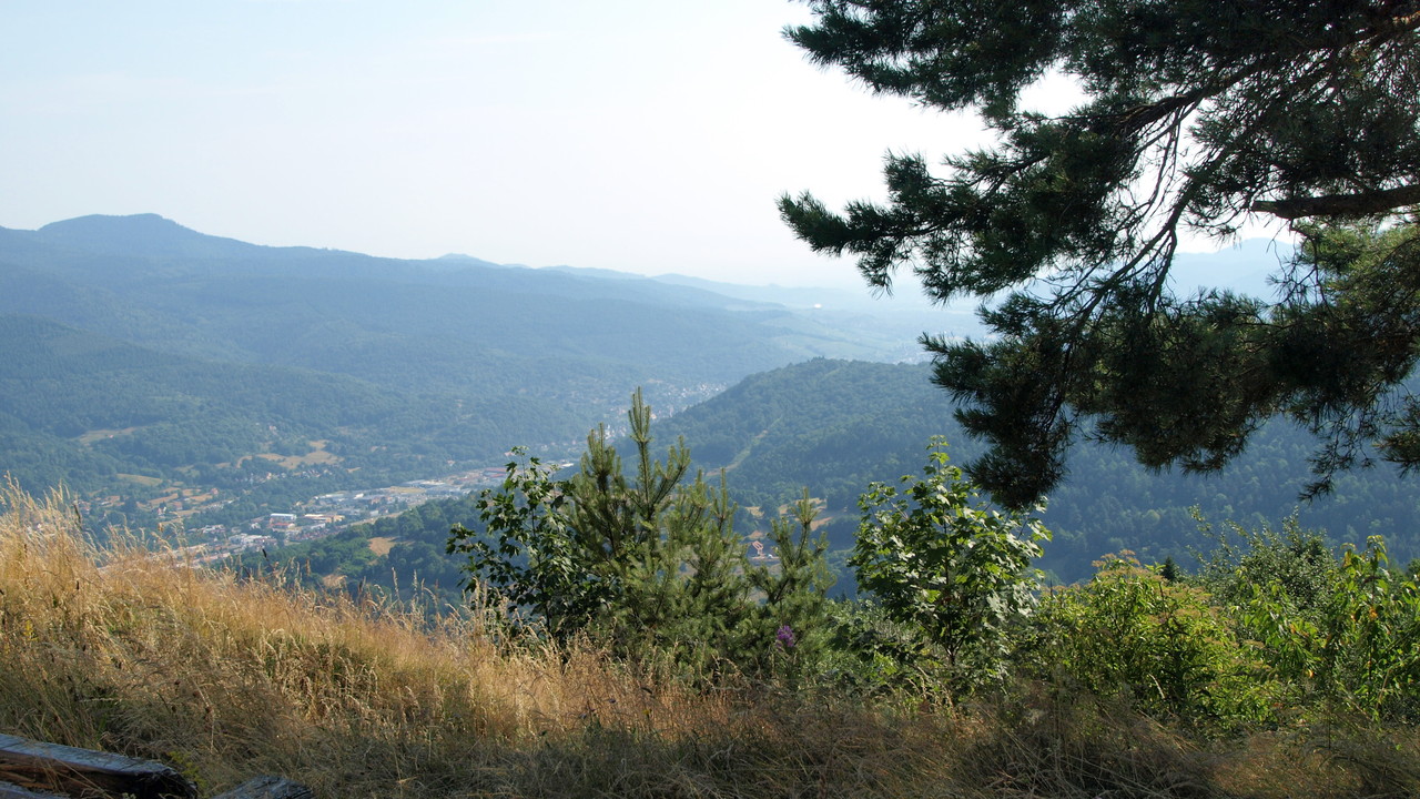 Vue sur l'entrée de la vallée de Munster