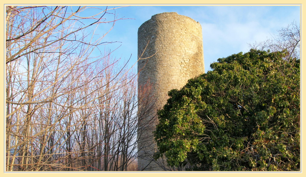 Pflixbourg : le donjon