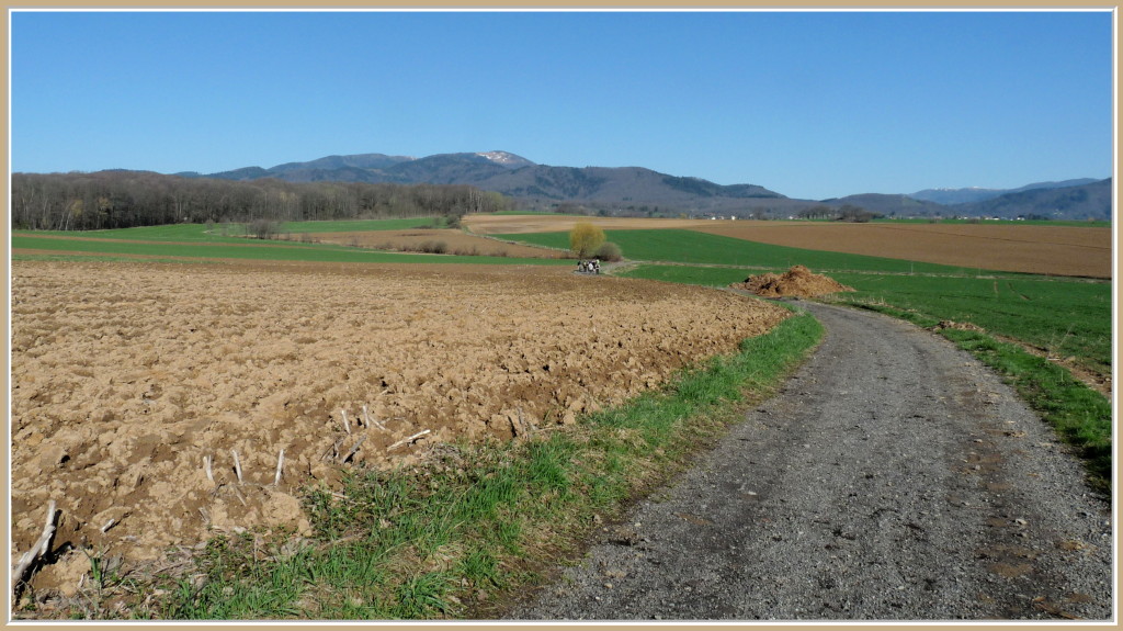Vers Roderen