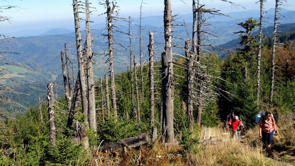 Montée au Petit Brézouard