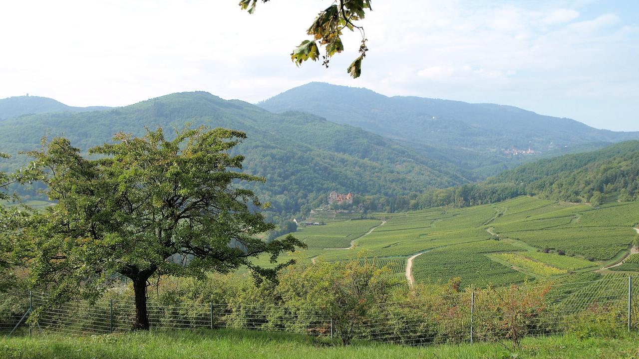 Taennchel et vallon de Thannenkirch