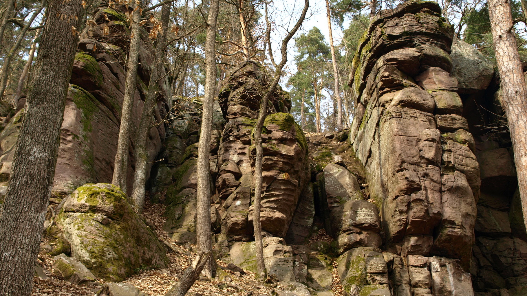 Carrières de Gueberschwihr