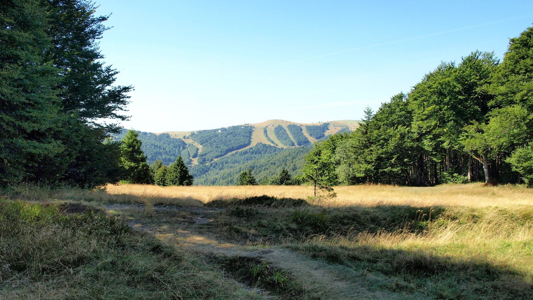 Oberlauchen : vue sur le Markstein