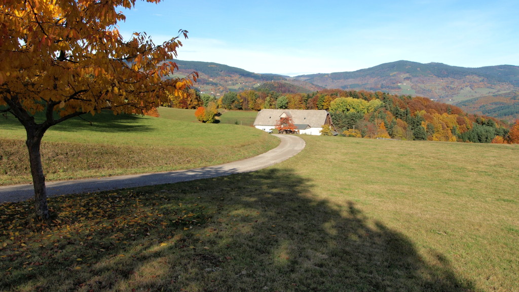 Couleurs d'automne à Labaroche