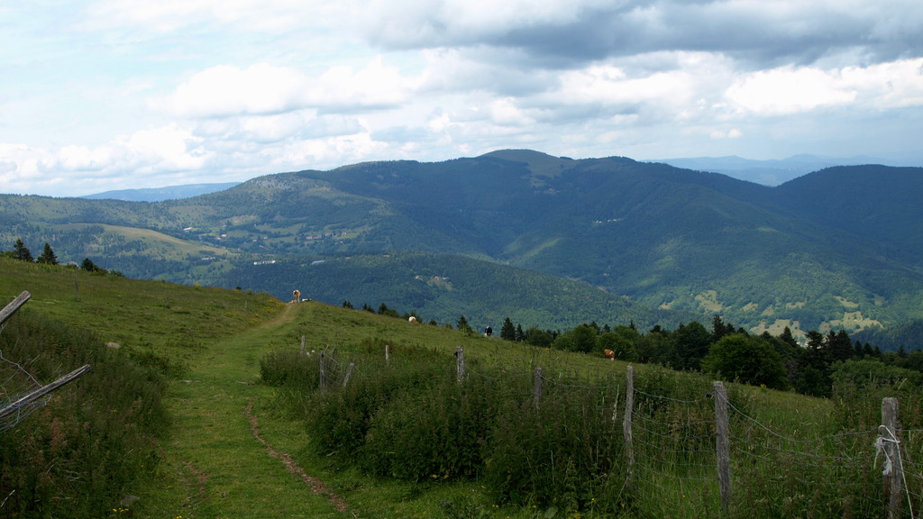 Le massif du Petit Ballon