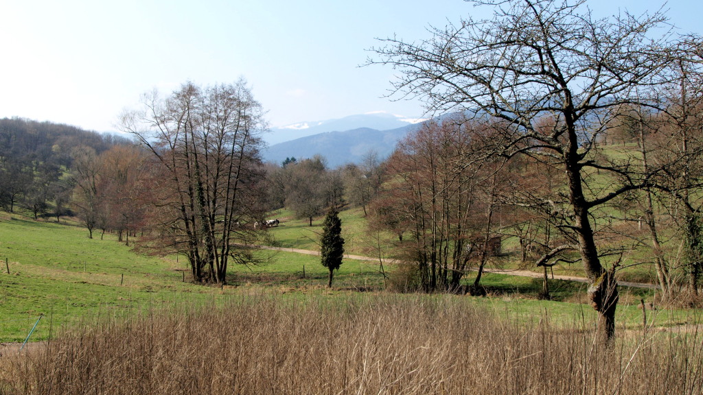 au loin le Grand Ballon