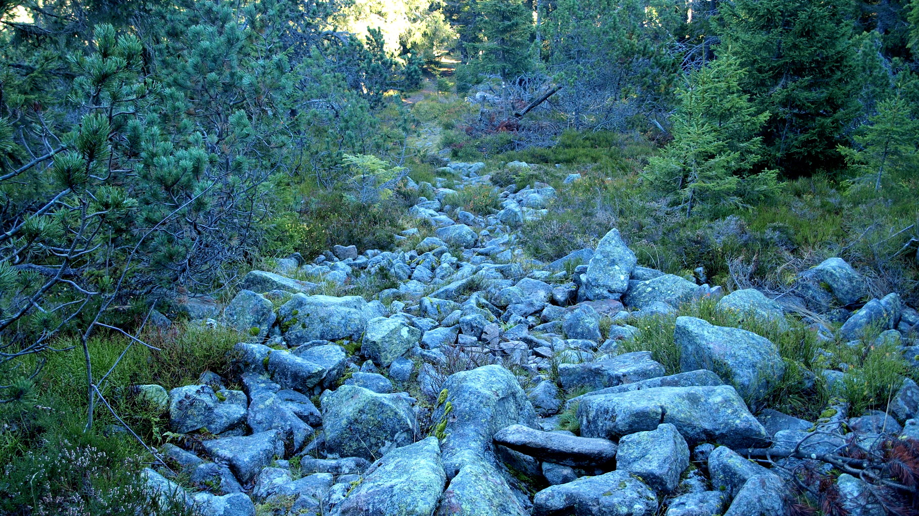 Descente de la Tête des Immerlins