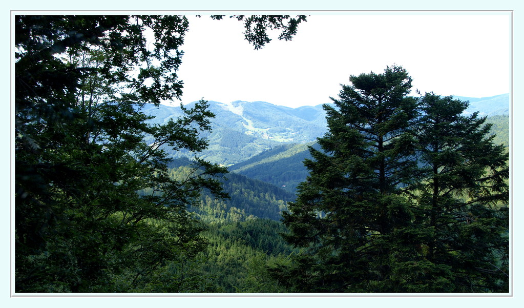 La vallée de Masevaux