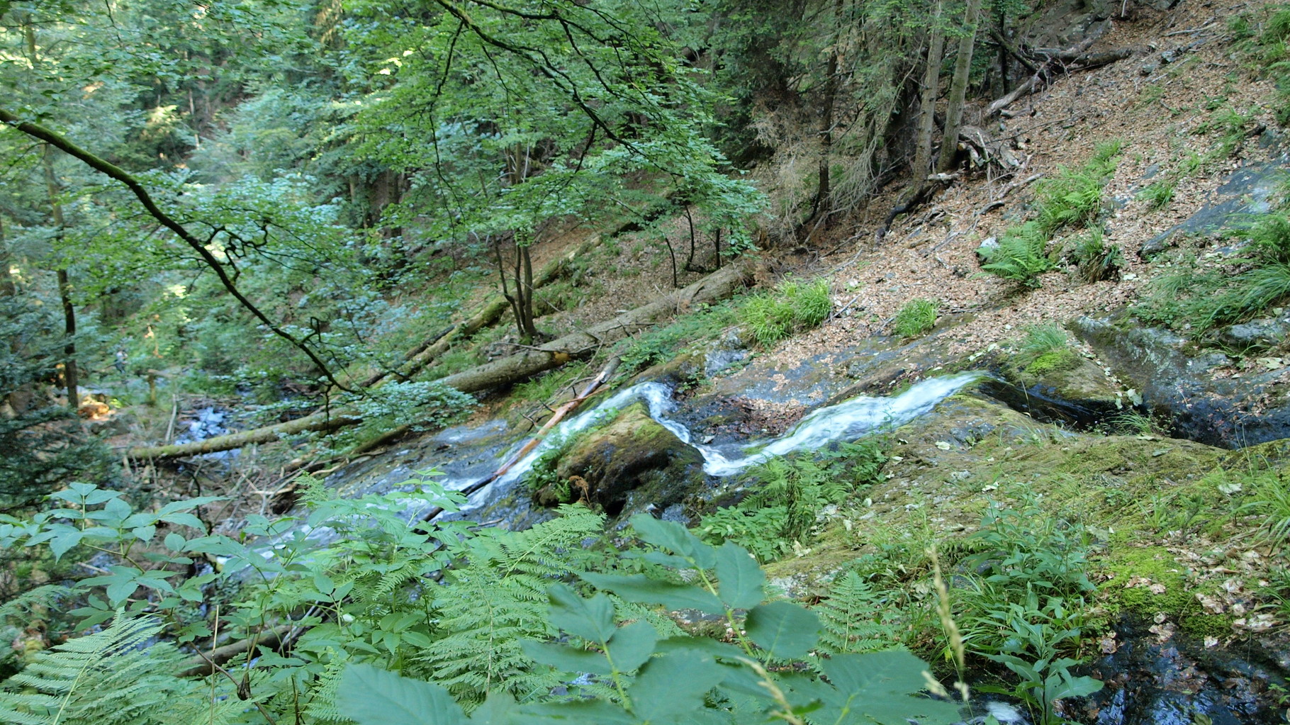 Cascades du Seebach