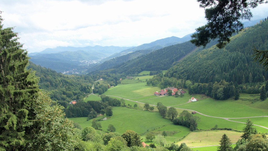 Vallon de Rammersbach