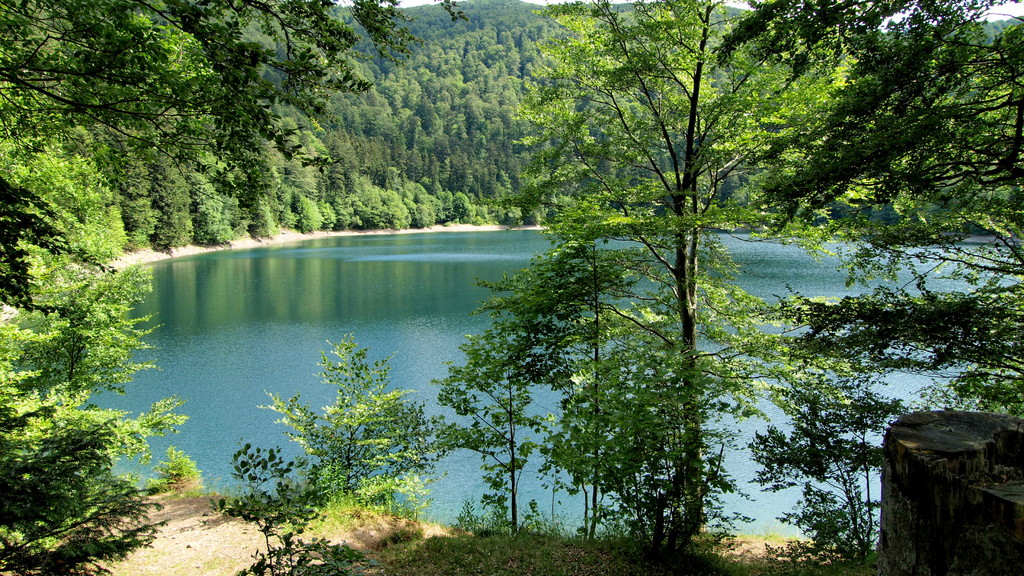 Le lac du Ballon