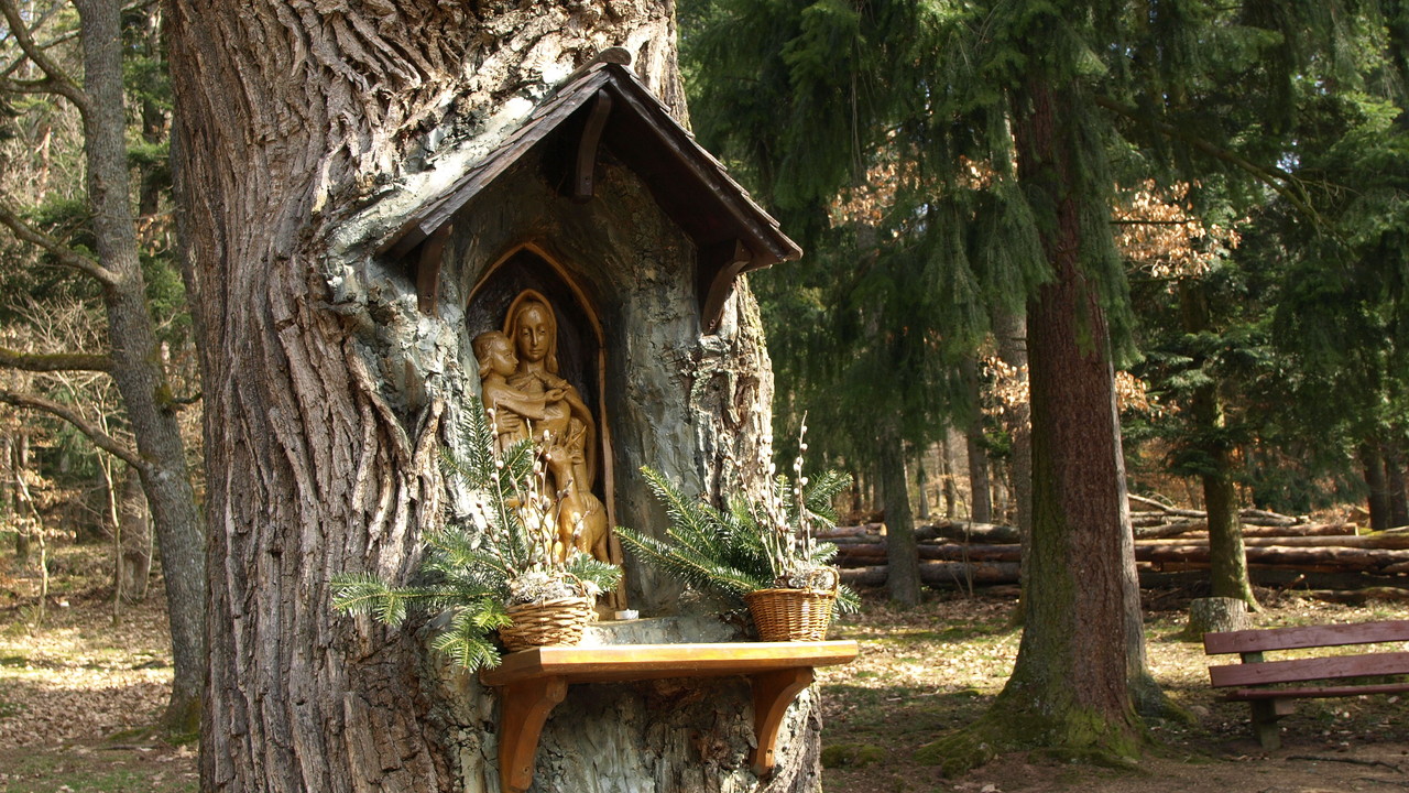 Chapelle des Bois