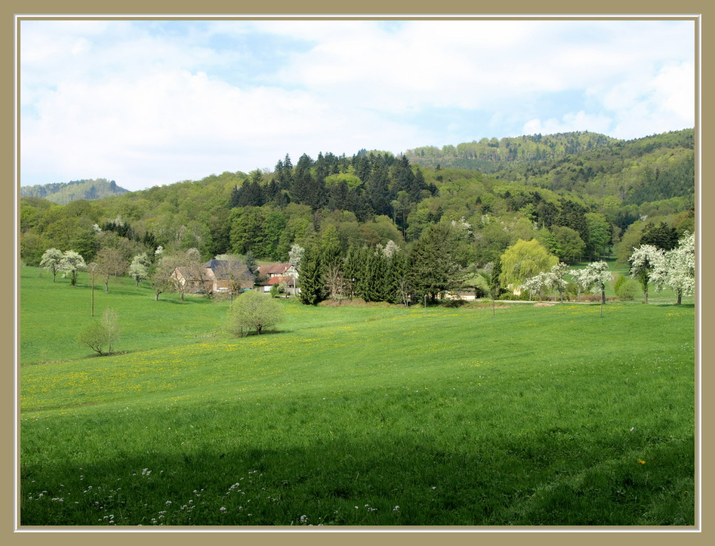 Osenbuhr au printemps