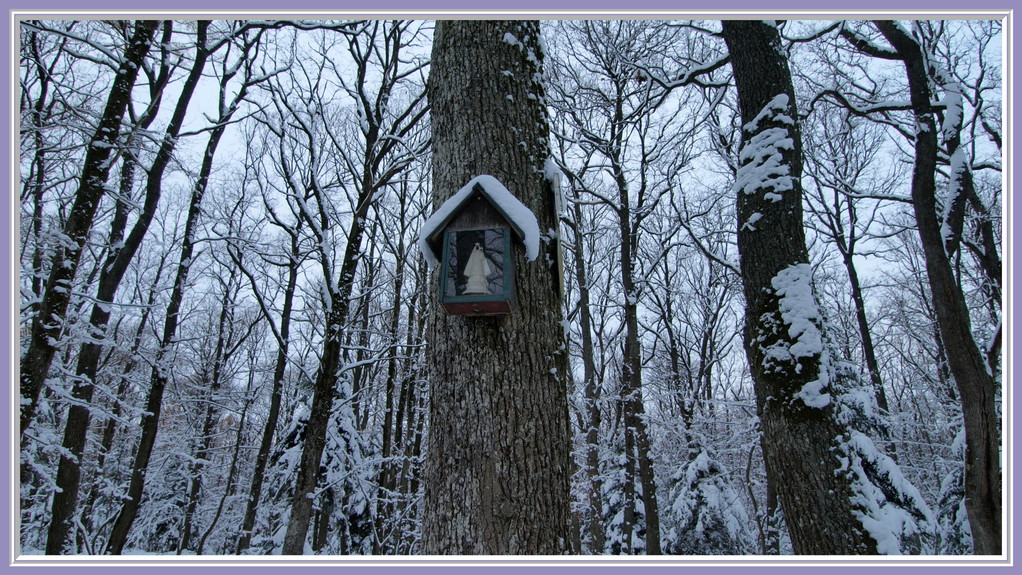 Heiligenbaum