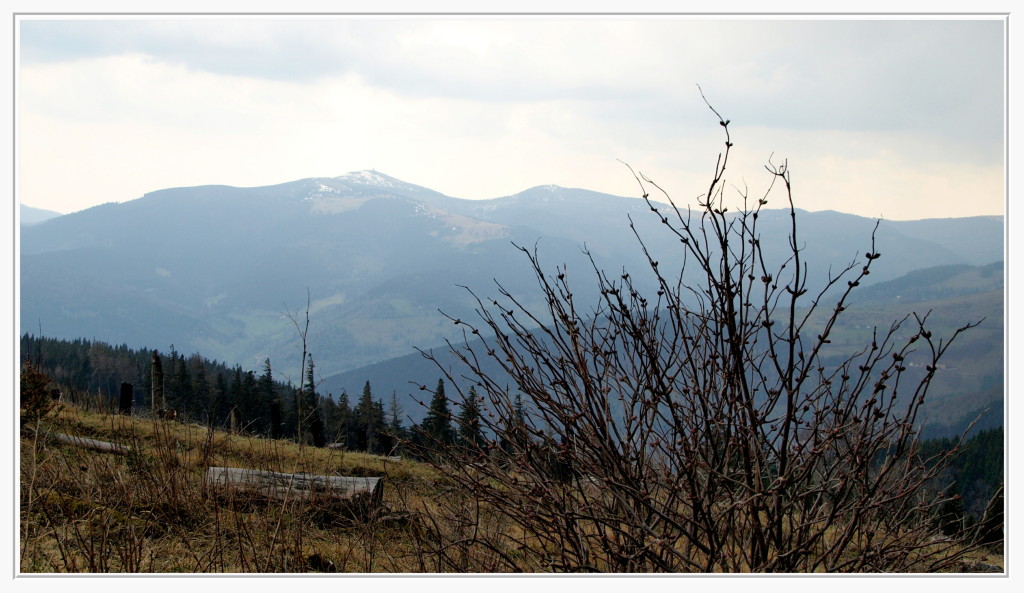 Vue sur le Grand Ballon