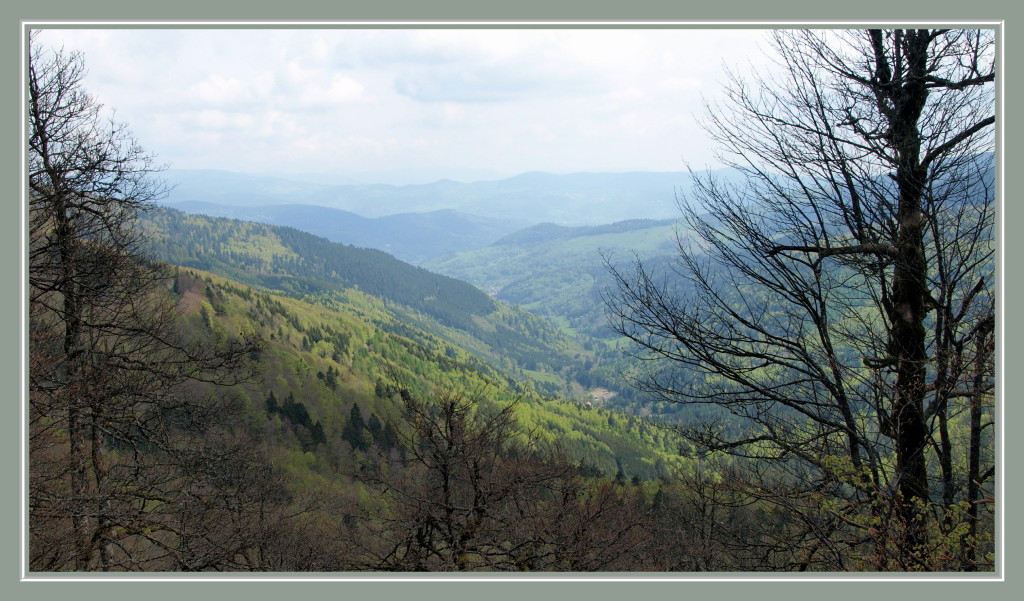 Vallée de Munster