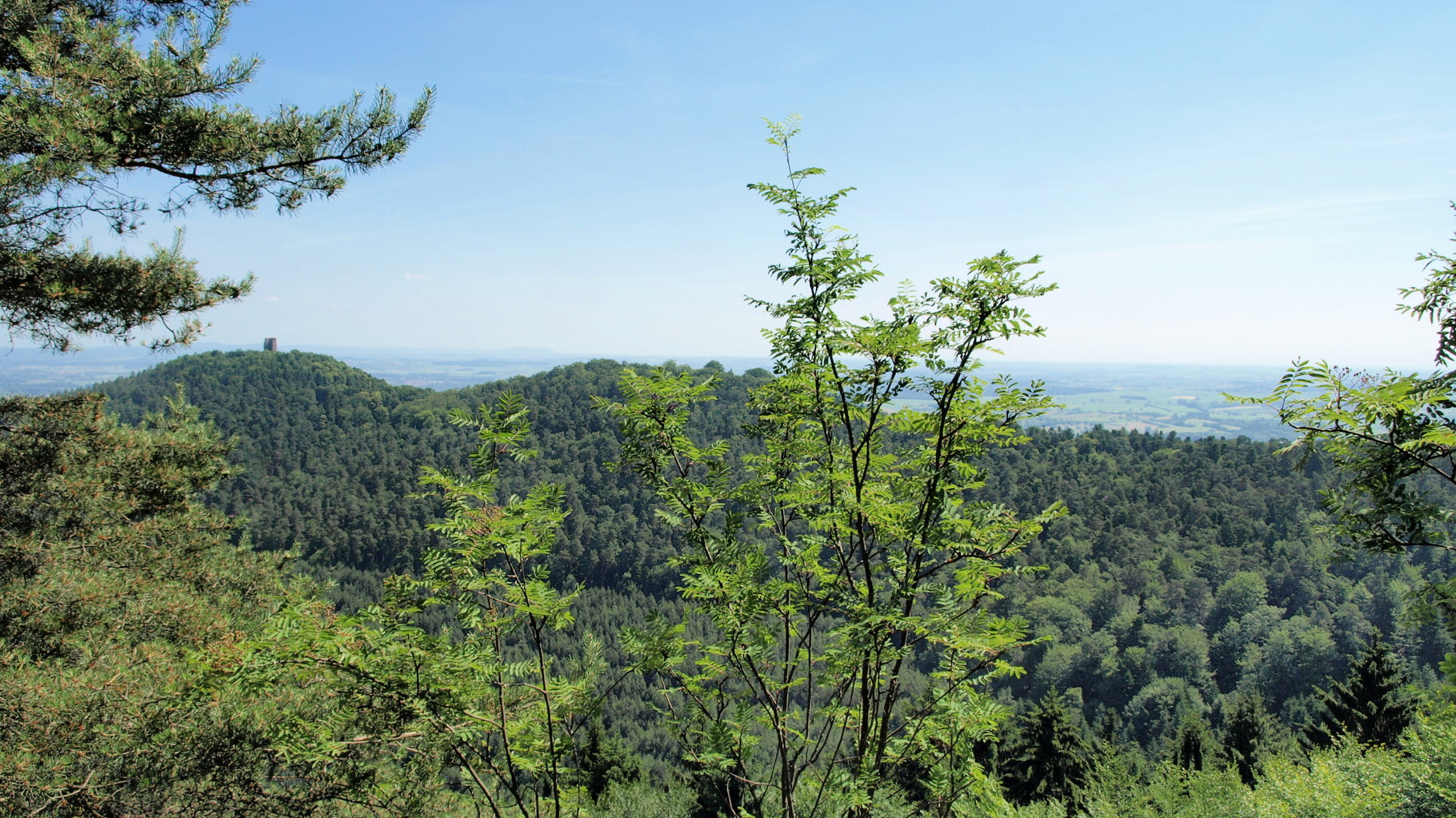 Vue sur le Grand Geroldseck