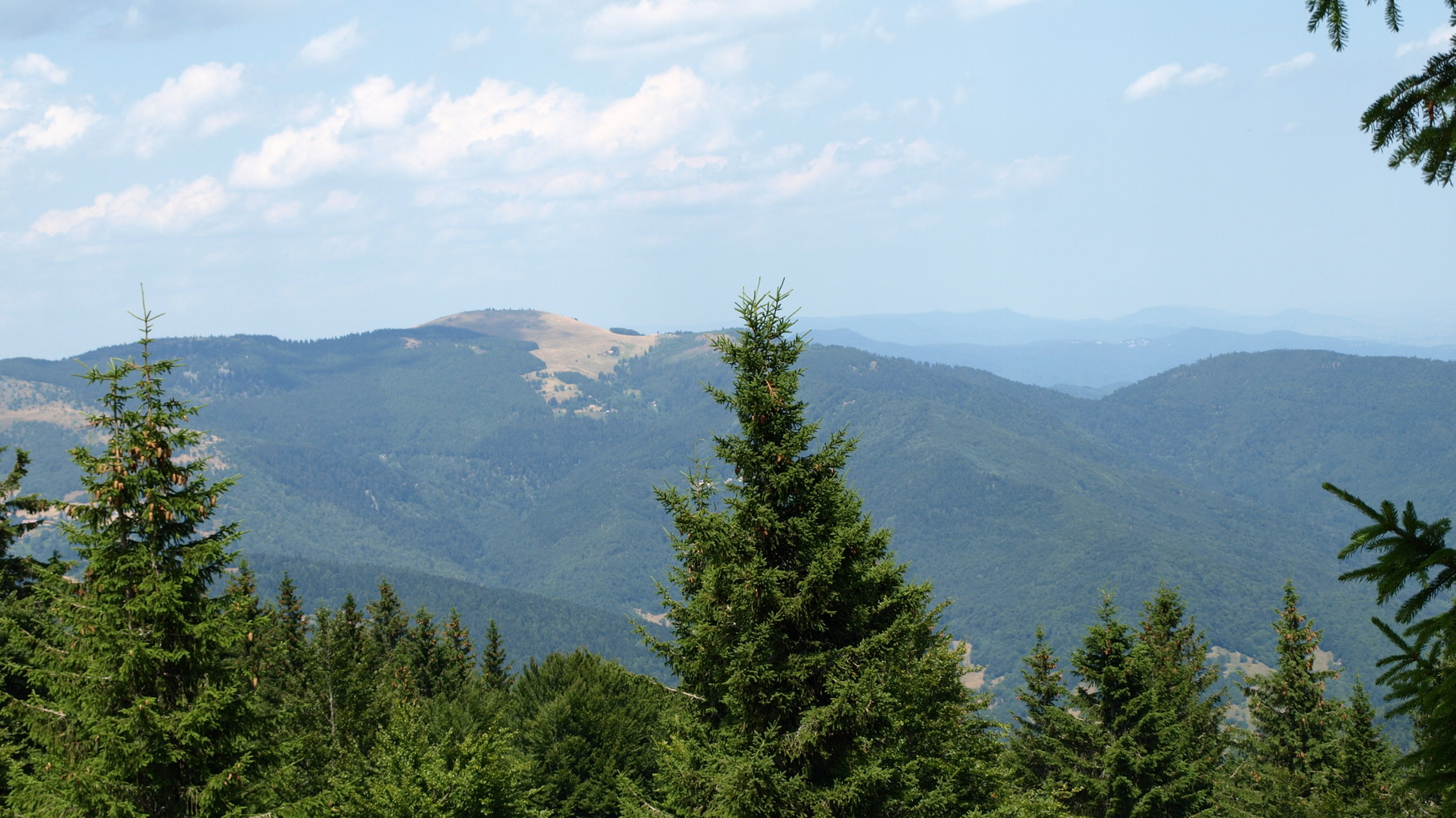 Vue sur le massif du Petit Ballon