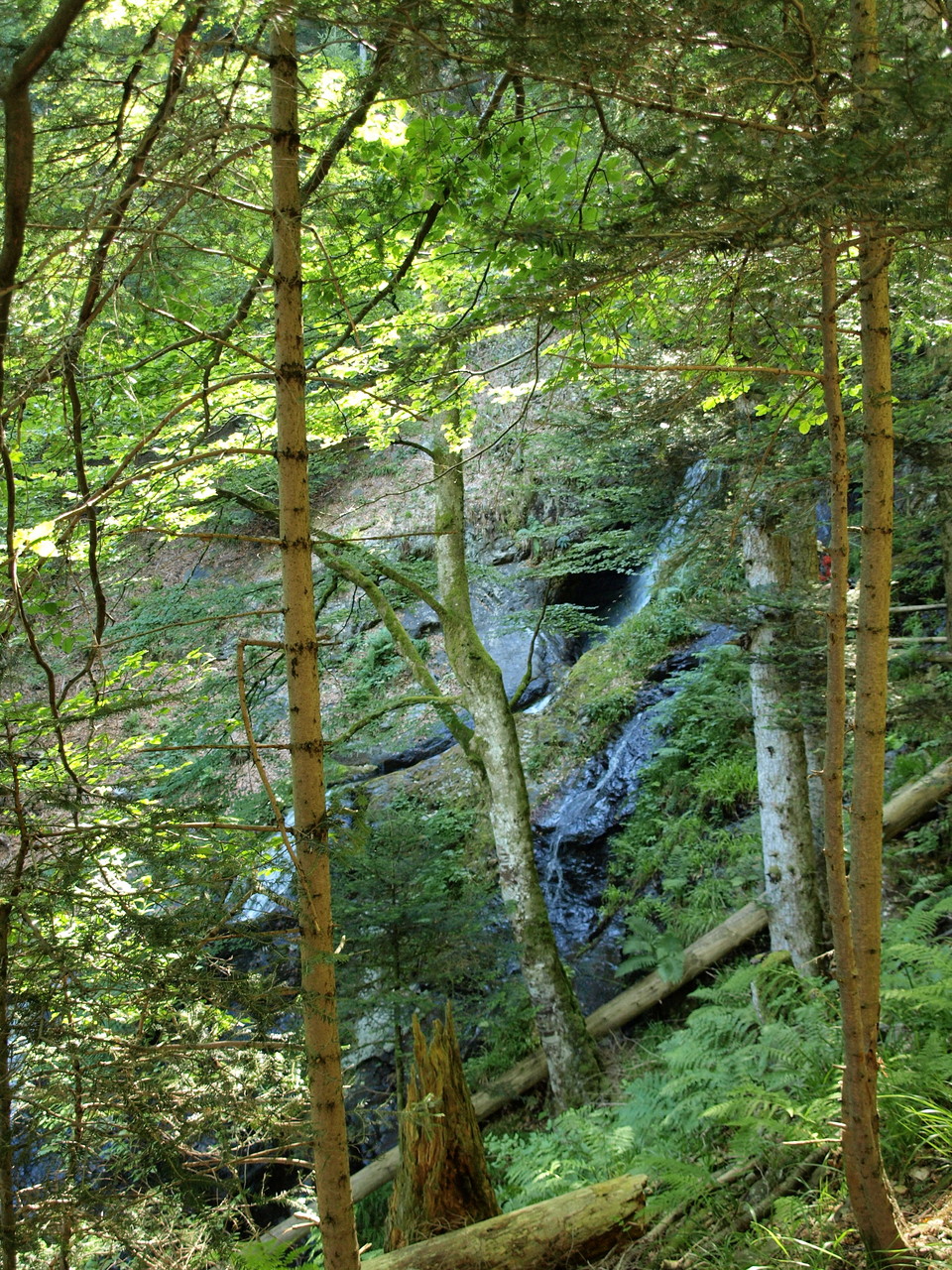 Cascades du Seebach