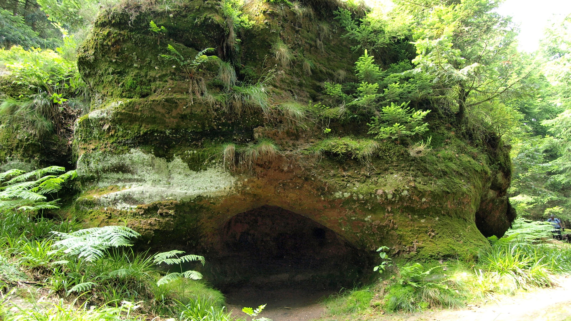 Château de Salm