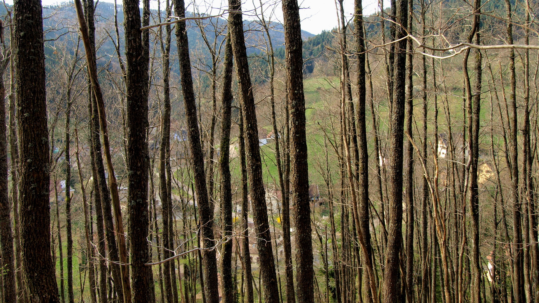 Montée vers la Schlossmatt