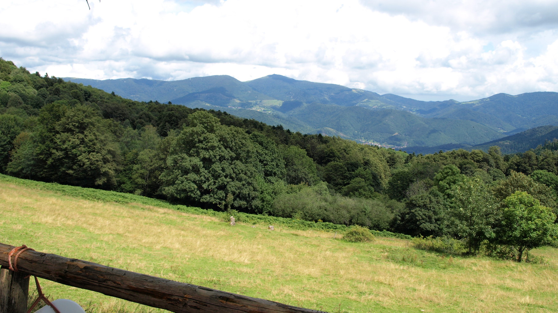 Vue sur le Grand Ballon