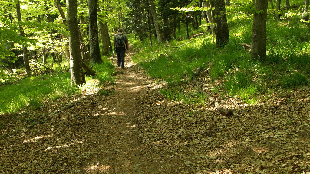 Vers le col de Wolfsgrube