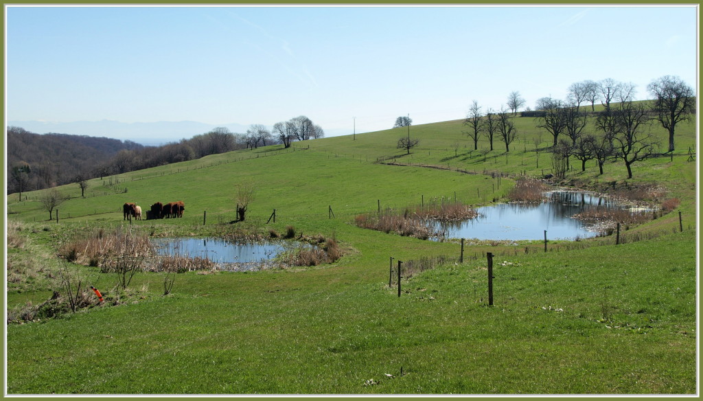 Sur les hauteurs de Rammersmatt