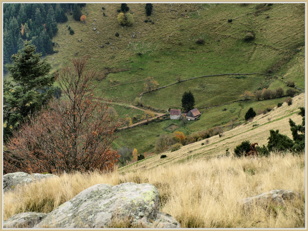 Ancienne ferme d'alpage près de Buchwald