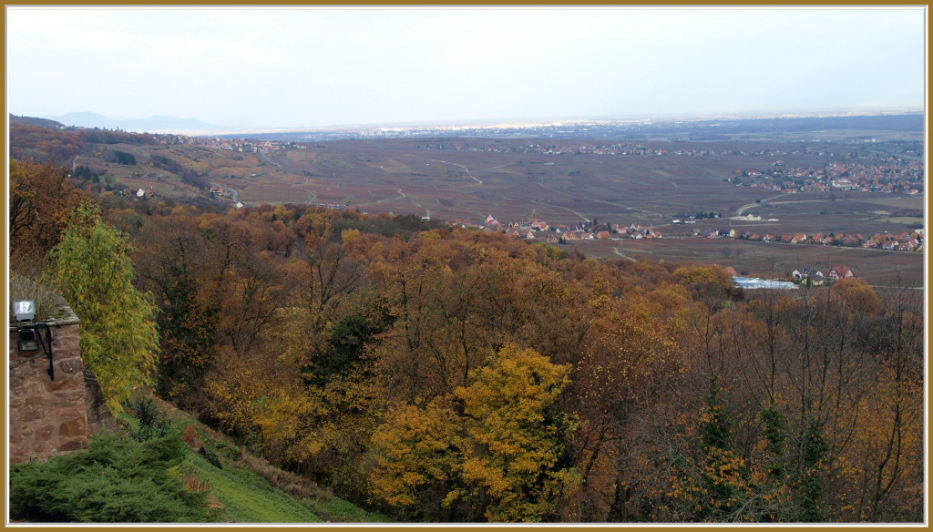 La Plaine d'Alsace vue du Schauenberg