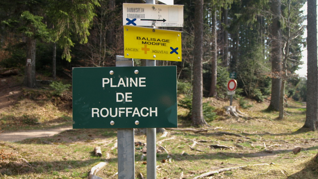 Plaine de Rouffach