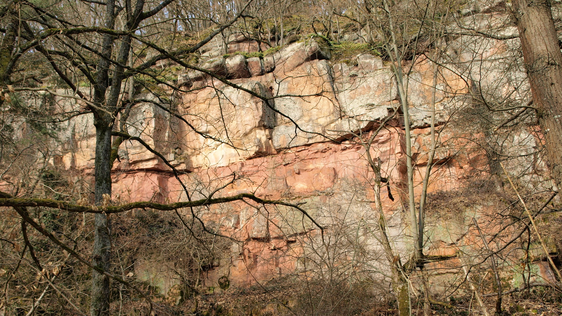 Carrières de Voeglinshoffen