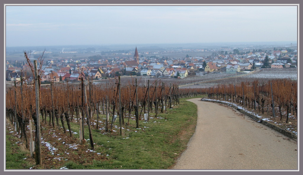 Arrivée à Wettolsheim