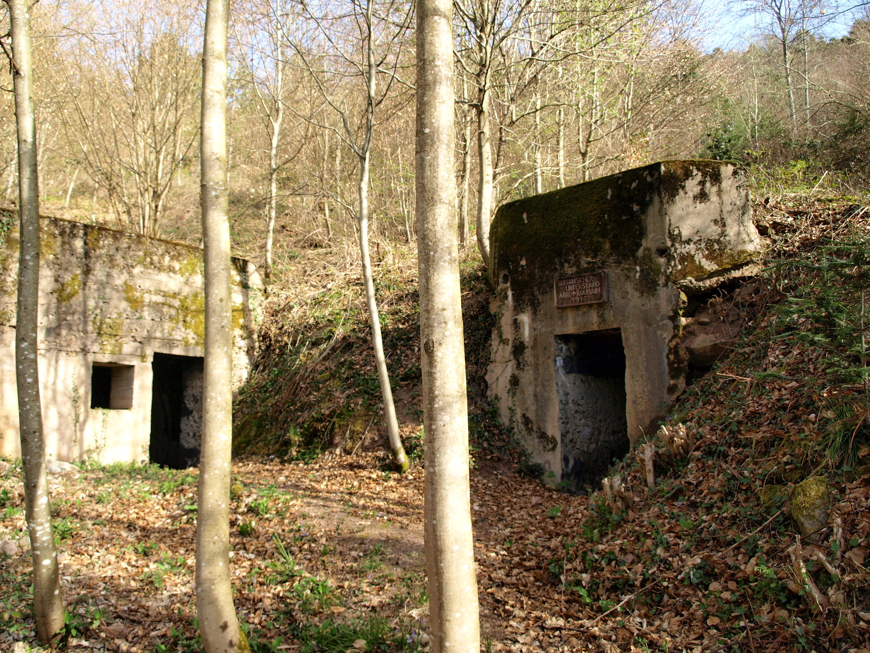 Blockhaus Roumain