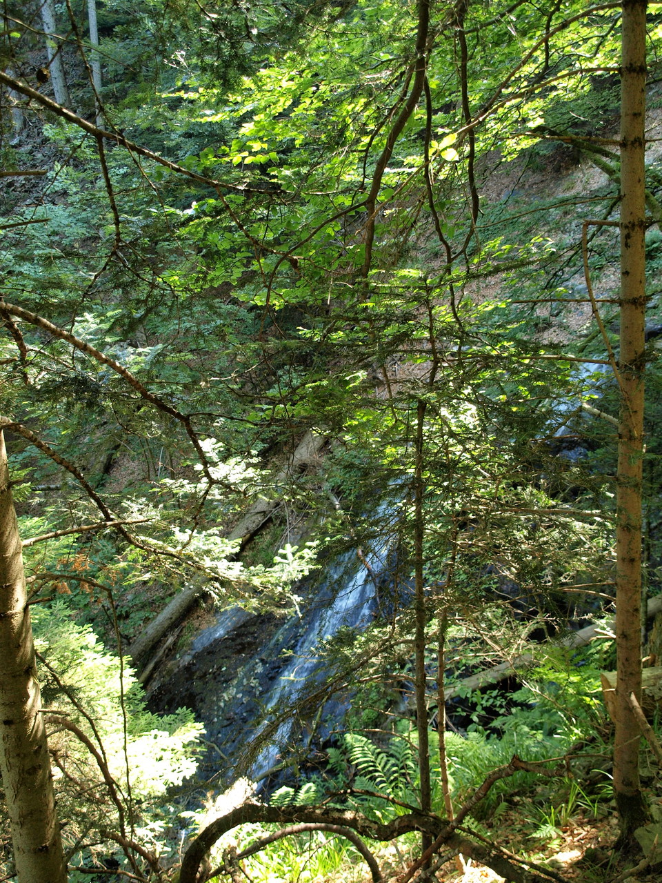 Cascades du Seebach