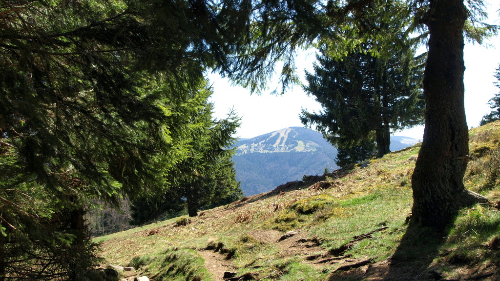 Vue sur le Schnepfenried