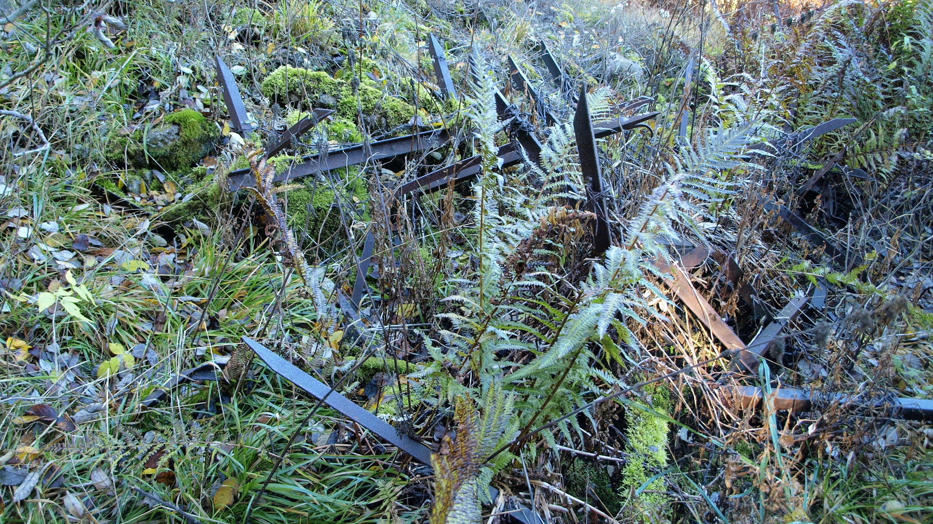 Chevaux de frise