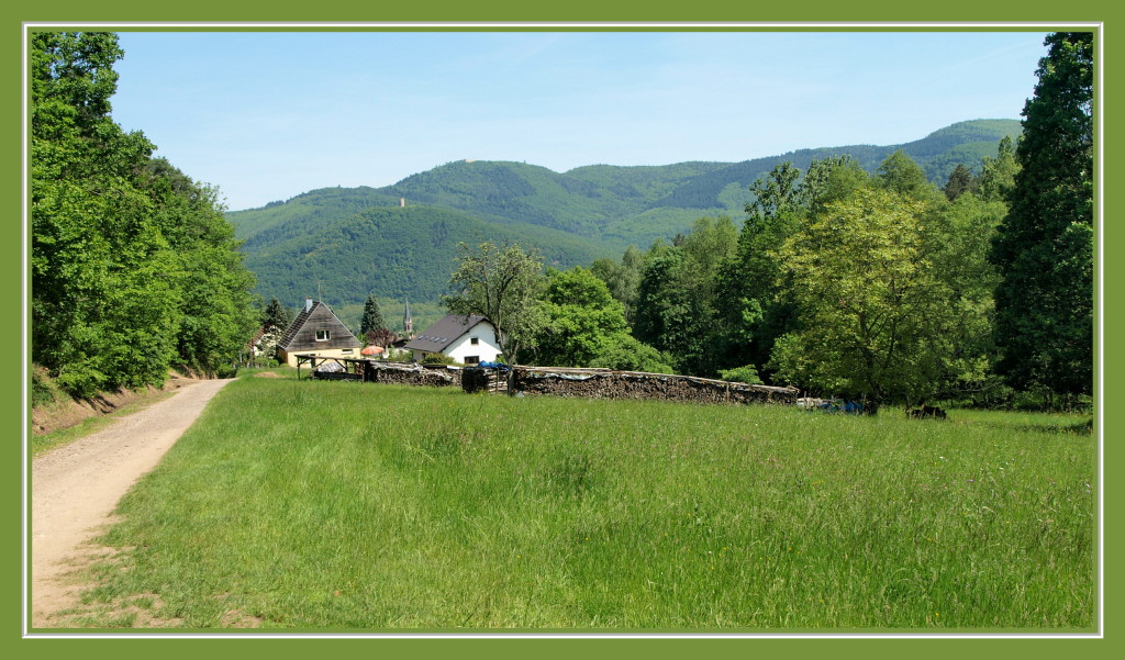 Retour sur Zimmerbach et vue sur le Pflixbourg et le Hohlandsbourg