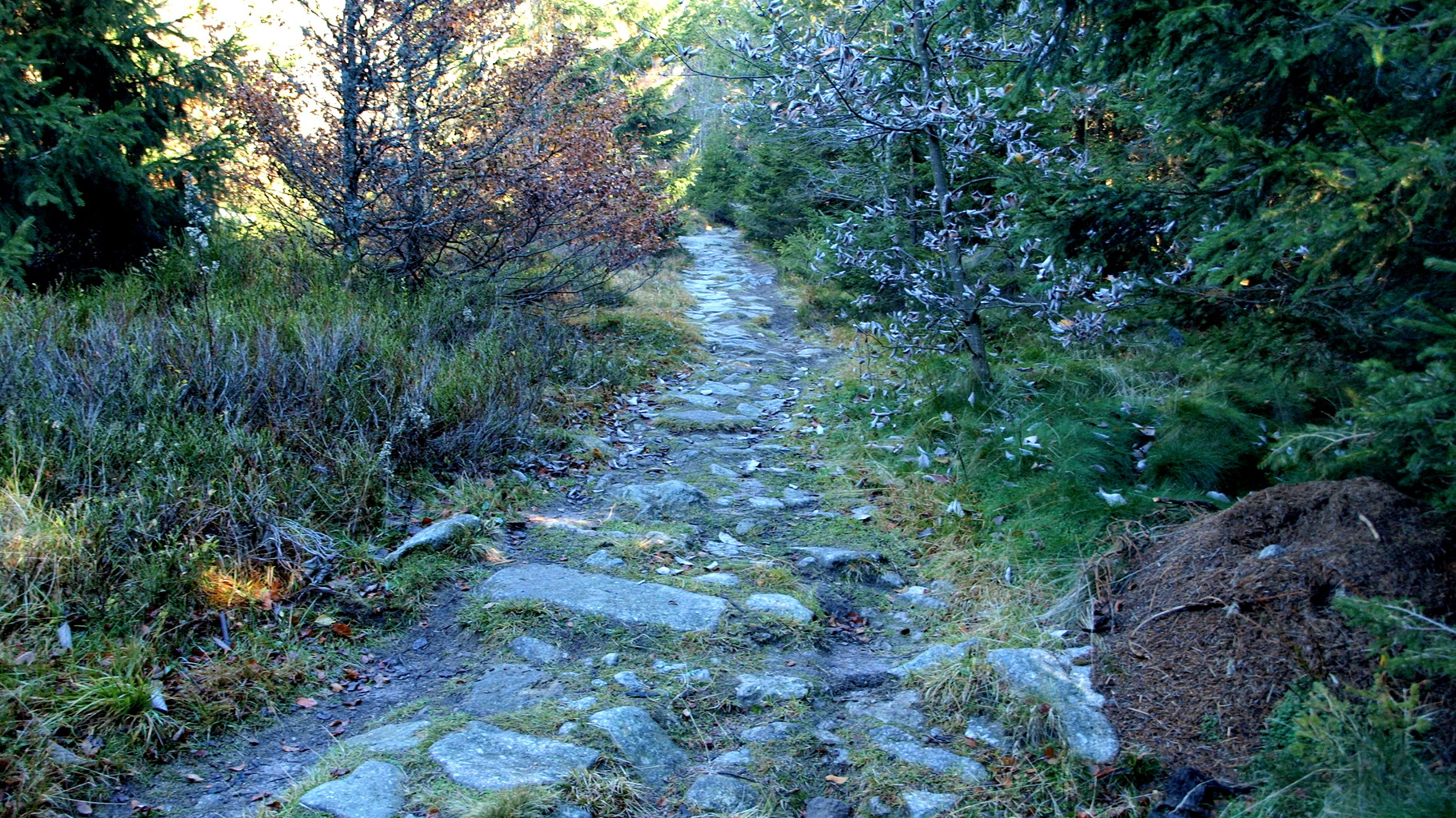 Montée à la tête des Faux
