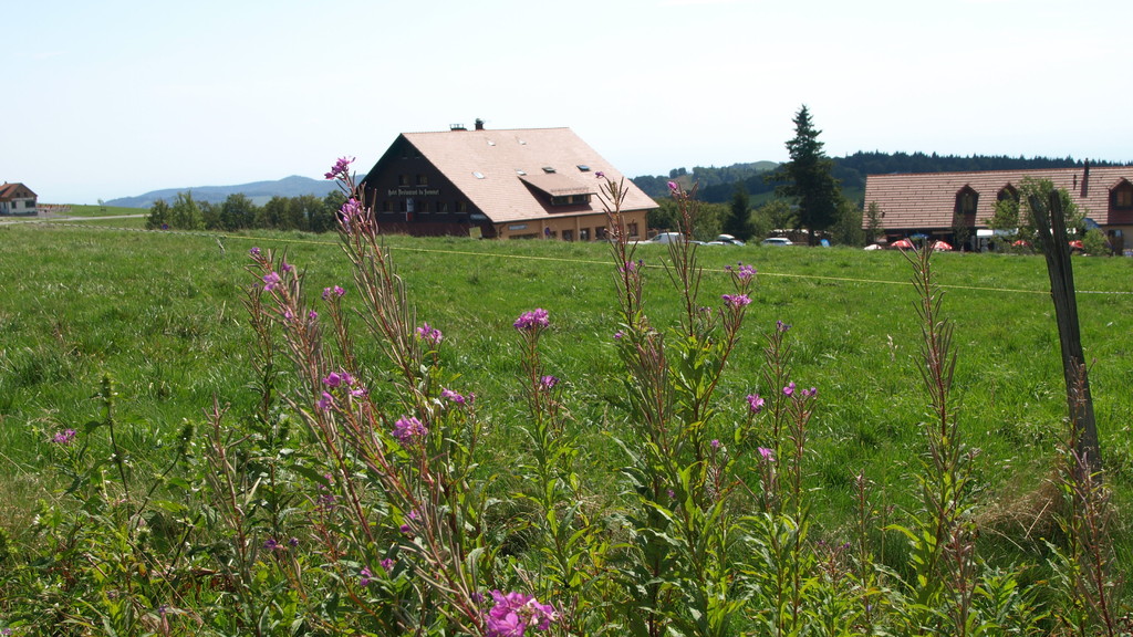 Auberge du Sommet