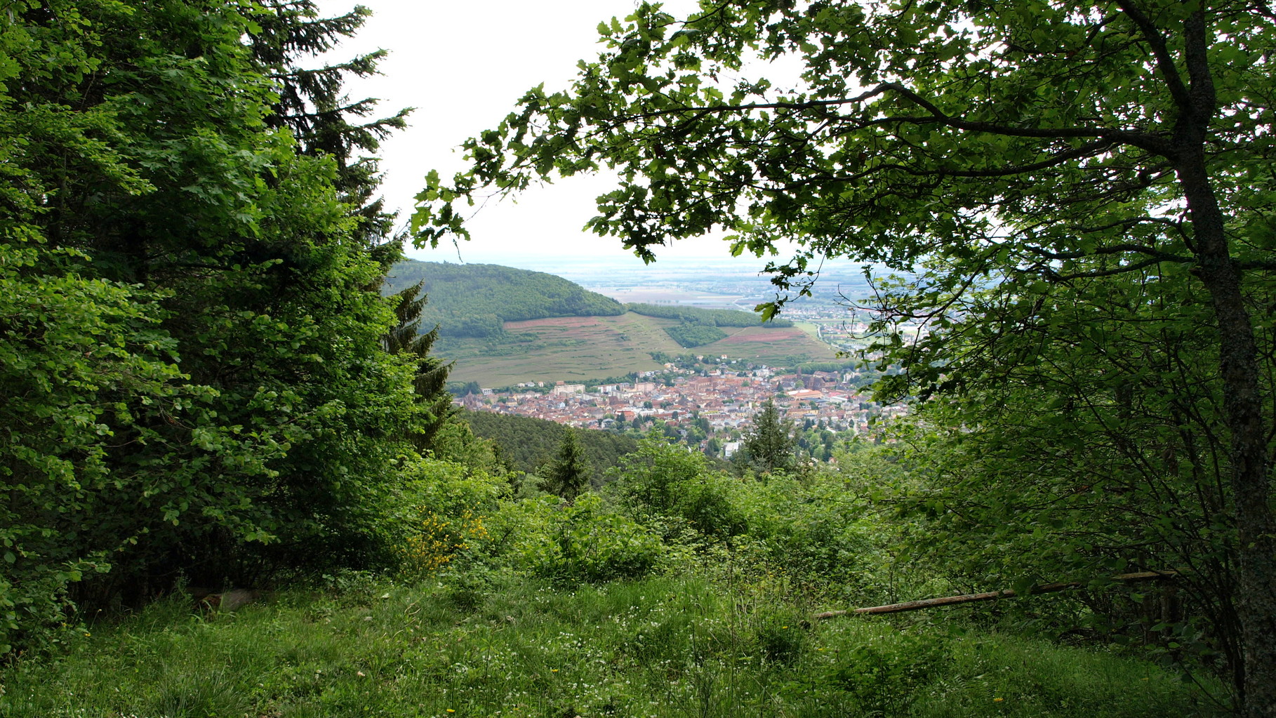 Vue sur Guebwiller