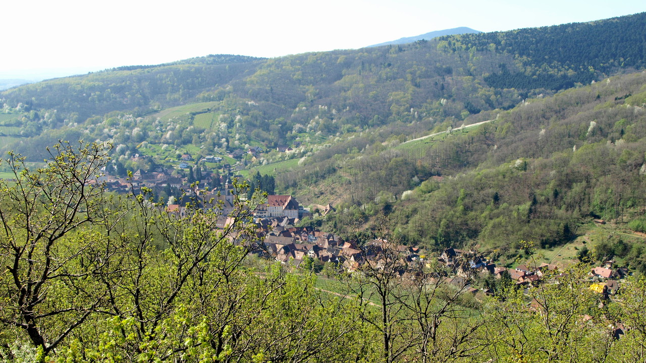 Vue sur Andlau