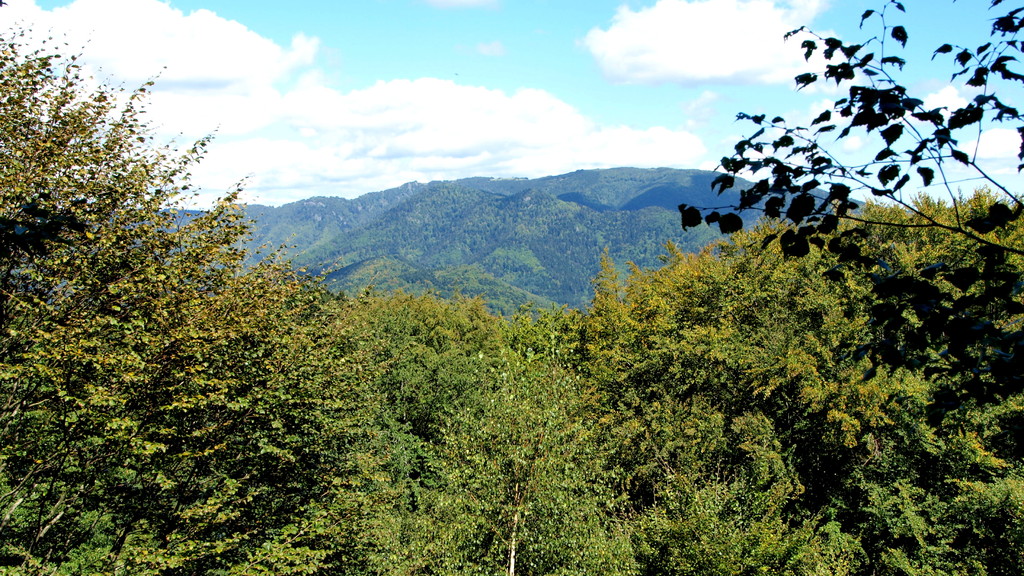 Vue sur le Rossberg