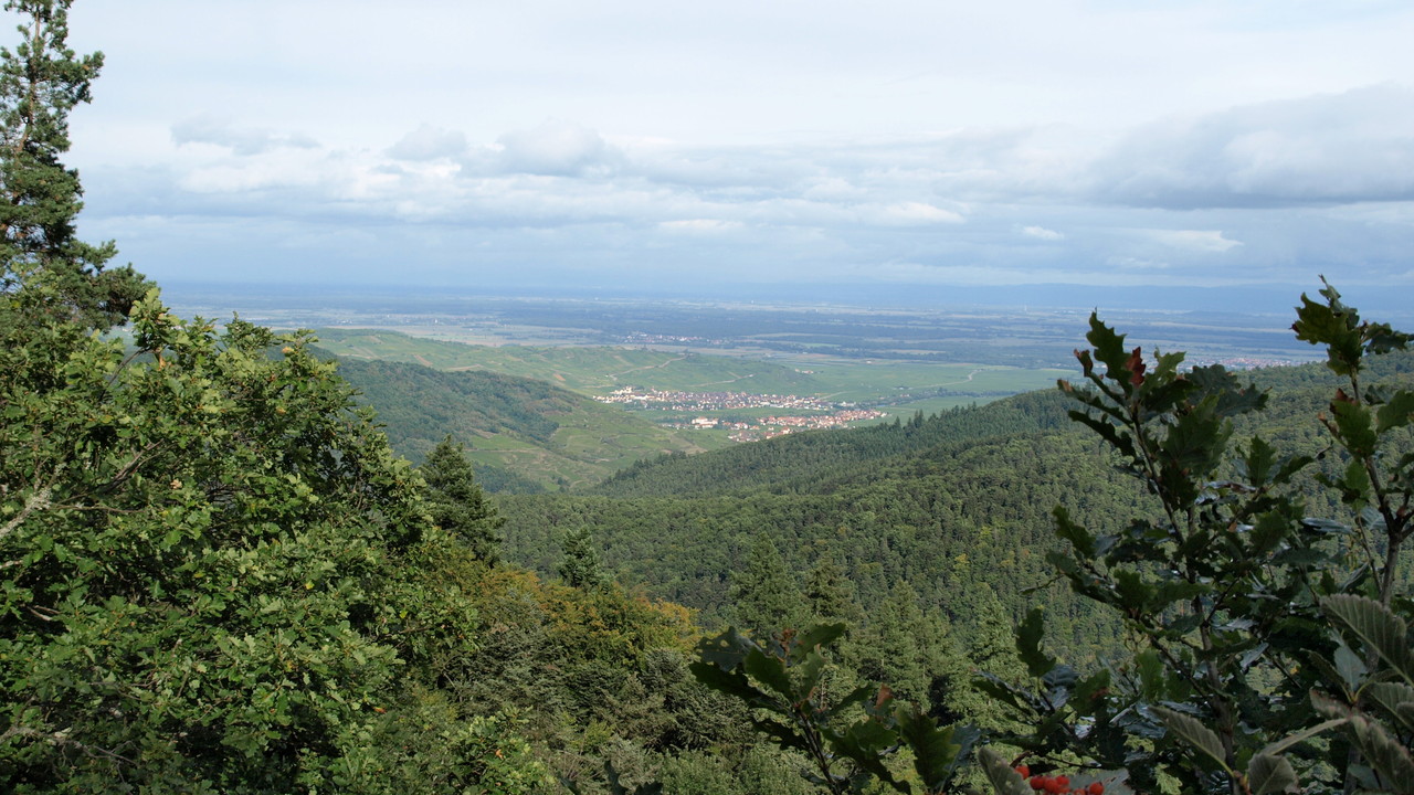 A la Roche du Corbeau